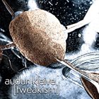 AUDUN KLEIVE [tweakism] album cover